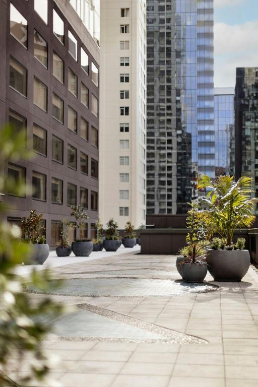 Auckland’s Calm Retreats: Hotel Picks for Restful Stays Near Sky Tower